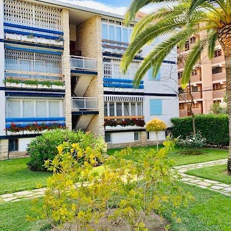 Book Mallorca II ซาลอว์ ภายนอก รูปภาพ